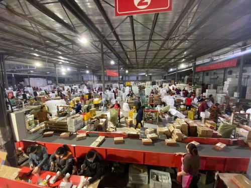 天貓雙11點(diǎn)亮蒲江 水果客服的千人咨詢戰(zhàn)役